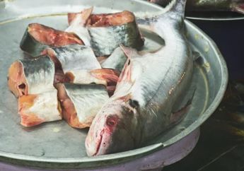 Untung Dikasih Tahu Penjual Pasar, Cara Menghilangkan Amis di Ikan Pantin Cukup Dibalur 1 Bumbu Dapur ini, Antigagal!