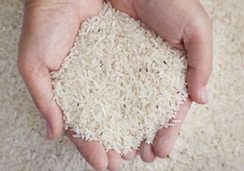 Cara Ampuh Mengusir Kutu Beras dari Rice Box, 1000 Persen Tidak Akan Kembali Kalau Disimpan Pakai Daun ini