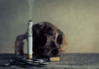 Waspada! Simak 8 Efek Kerusakan Organ Karena Merokok, Mulai dari Stroke hingga Pengaruhi Organ Reproduksi
