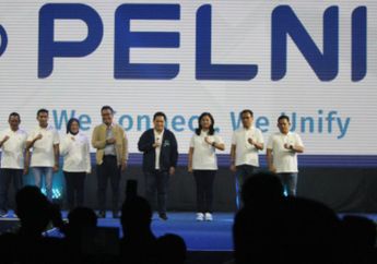 Lowongan Kerja Lulusan D3, BUMN PELNI Buka Kesempatan Emas di Posisi Ini, Simak Syarat dan Cara Mendaftarnya