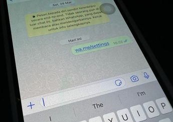Ramai di Twitter Tautan wa.me/settings Bikin WhatsApp Eror, Begini Cara Mengatasinya!