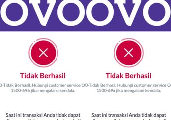 Gagal Login Akun OVO? Jangan Panik Dulu, Ini Cara Mengatasinya Tanpa Hubungi CS