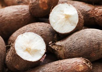 Bukan di Kopi, Ini 4 Makanan yang Ada Kandungan Racunnya, Salah Satunya Racun Sianida di Makanan Enak ini