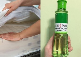 Nyesel Gak Tahu dari Lama, Cuma Teteskan Minyak Kayu Putih ke Atas Kasur, Masalah Utama di Kamar Tidur ini Akhirnya Bisa Lenyap Selamanya