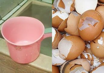 Tahan Dulu Ganti Baru, Gayung Bocor di Kamar Mandi Bisa Ditambal Cuma Modal Cangkang Telur! Cek Caranya yang Tak Banyak Orang Tahu