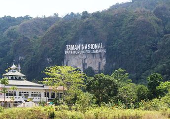 Tambahan 330 Km Persegi Kawasan Lindung Bisa Selamatkan 53 Spesies Indonesia