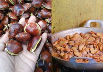 Bukan dengan Kapur Sirih, Cara Masak Jengkol Agar Tidak Bau Menyengat dan Berasa Pahit Cukup Direbus dengan Bahan Dapur Ini Saja