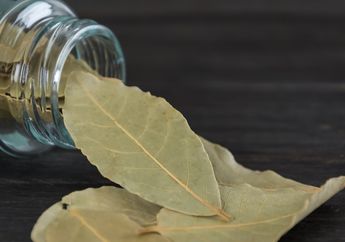 Bukan Mitos! Coba Masukkan Daun Salam dalam Botol Lalu Letakkan dalam Kamar, Setiap Bangun Tidur Pasti Rasakan Hal ini