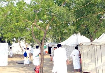 Pohon Sukarno, Simbol Hubungan Baik Indonesia dan Arab Saudi sejak Zaman Bung Karno