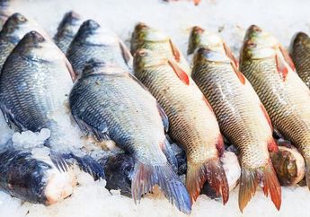 5 Ciri-ciri Ikan yang Pantang Dibeli, No. 4 Sering Tak Diperhatikan Padahal Diam-diam Membawa Racun