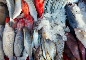 Tak Selalu Salmon, Ternyata Ikan Murah Meriah Ini Jadi Andalan untuk MPASI