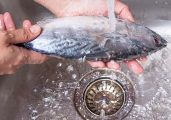 Bukan di Selokan, Coba Buang Air Bekas Cucian Ikan ke dalam Pot, Kurang dari 24 Jam Tetangga Ikut Kaget Lihat Halaman Rumah, Ada Apa?