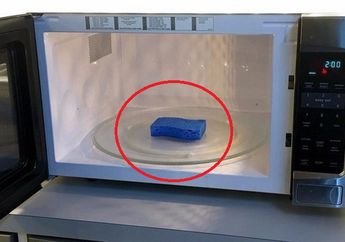 Coba Masukkan Spons Cuci Piring ke dalam Microwave, 5 Menit Kemudian Pasti Si Kecil Jadi Semangat Bolak-Balik ke Dapur