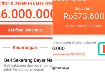 Sudah Jatuh Tempo tapi Belum Ada Uang, Coba Lakukan Pelunasan Tagihan Spaylayter dengan Cara Begini