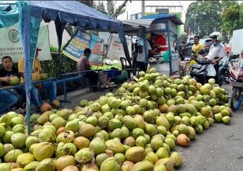 Buat Apa Cari-cari Detox Di Toko Online, Cuma 7 Hari Berturut-turut Minum Air Kelapa, Tubuh Akan Merasakan Perubahan Luar Biasa ini