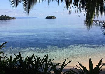 15 Fakta Menarik Taman Nasional Kepulauan Togean yang Didominasi Terumbu Karang