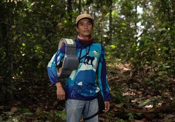 GPS Collar, Solusi Mutakhir untuk Mitigasi Interaksi Negatif Manusia dan Gajah