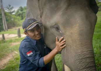 Mengenal Keseharian Mahout, Penjaga Gergasi Rimba
