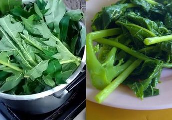 Bukan Tanah Liat, Kalau Mau Rasa Pahitnya Hilang, Coba Rendam Daun Pepaya dengan 1 Bumbu Dapur Ini Sebelum Direbus