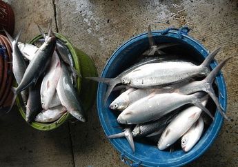 Pulang-pulang dari Pasar Bisa Menangis, Dilarang Beli Ikan Bandeng dengan 5 Ciri-ciri ini, No. 3 Sering Dikira Paling Bagus
