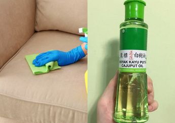 Iseng-iseng Teteskan Minyak Kayu Putih ke Atas Sofa, Tetangga Satu Kompleks Betah Seharian Bertamu di Rumah, Ada Apa?