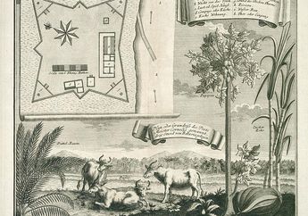 Jalan Ini Menjadi Saksi Peristiwa Penyerbuan Jawa 1811, Belanda Pun Terpaksa Serahkan Pulau Jawa Kepada Inggris