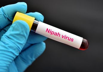 Waspada! Indonesia Dikelilingi Wabah, Virus Nipah Sudah Menyebar di Negara Tetangga