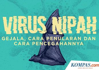 Virus Nipah Telah Serang India, Bisakah Sampai Indonesia? Ini Gejala, Penularan, Dan Pencegahannya