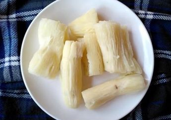 Efek Makan Singkong Rebus Ternyata Gak Bisa Dianggap Remeh, Bakal Rugi yang Gak Suka Konsumsi, Bisa Cegah Penyakit Ini
