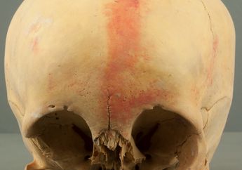 Sejarah Dunia: Ritual Mengecat Tengkorak di Kebudayaan Chincha