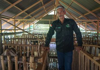 Agroforestri Bantu Warga Desa Pinggir Hidup Berdampingan dengan Gajah