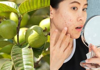 Selama Ini Banyak yang Belum Tahu, Daun Jambu Biji Bisa Hilangkan Bopeng Hitam di Wajah, Ini Cara Pakainya