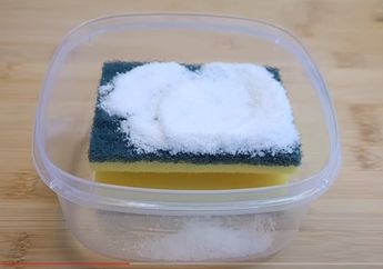 Bak Mejik, Coba-coba Tabur Garam di Spons Cuci Piring Sebelum Digunakan, Efeknya Pasti Gak Bikin Kita Nyesel 7 Turunan