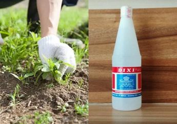 Dikira Bahan Kimia, Trik Ampuh Basmi Rumput Liar Pakai Cuka dan 1 Bahan Ini, Terutama saat Siang Hari