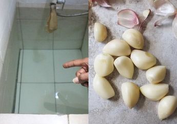 Tak Sengaja Cemplungkan Bawang Putih ke Bak Mandi, Besoknya Tetangga Langsung Ngantri Numpang ke Kamar Mandi, Ada Apa?