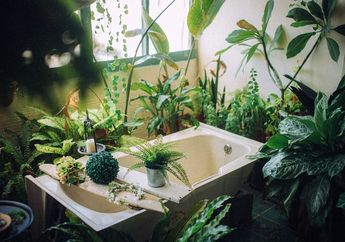 Kelihatannya Aneh Tapi Coba Letakkan 4 Tanaman dari Kebun ini Di Kamar Mandi, Seisi Rumah Tidak Berhenti Bolak Balik Masuk WC