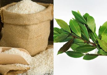 Coba Mulai Hari Ini Taruh Setangkai Daun Salam di Atas Beras, Tiap Mau Pergi Masak Nasi Pasti Dipuji-puji Mertua