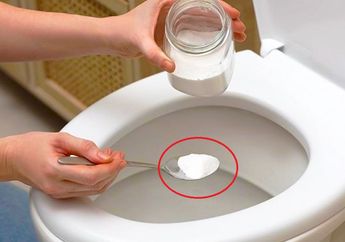 Iseng-iseng Buang Garam dalam Lubang Kloset, Seisi Rumah Jadi Makin Betah Lama-lama di Kamar Mandi, kok Bisa?