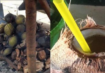 Iseng-iseng Bakar Kelapa Lalu Minum Airnya, Koin Buat Kerokan Sekarang Akhirnya Bisa Masuk Celengan, Kok Bisa?