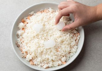 Bukan Sulap Bukan Sihir, Ini yang Terjadi Kalau Memasukkan Es Batu ke dalam Rice Cooker, Tidak Perlu Lagi Beli Beras Mahal