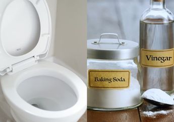 Dipakai Tiap Hari Muncul Kerak Coklat, Begini Trik Membersihkan Kloset agar Selalu Kinclong Pakai Cuka dan Baking Soda