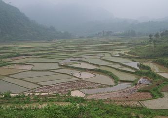 Temuan Sawah Kuno dan Istana yang Hilang Kekaisaran Tiongkok
