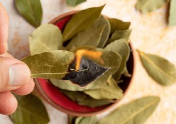 Cuma Iseng Bakar Sisa Daun Salam dari Kulkas, Seisi Rumah Syok Lihat Tetangga Rela Antre Bawa Bantal Depan Rumah!