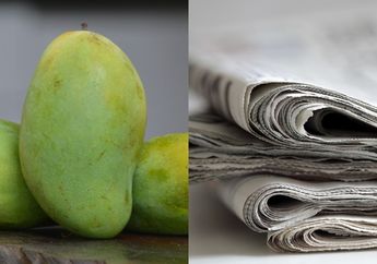 Bukan Dimasukkan ke Beras, Begini Cara Cepat Mematangkan Mangga Cuma Pakai Kertas Koran, Matang Sempurna!