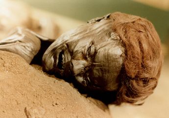 Jalan Panjang Singkap Misteri Kematian Mumi Rawa dalam Sejarah Dunia