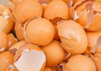 Cuma Dicuci dengan Cangkang Telur, Alat Dapur Ini Malah Berubah Jadi Kinclong Seperti Baru, Kok Bisa?