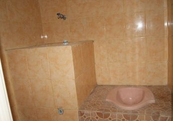 Tak Sengaja Buang Satu Bahan Dapur Ini di Lubang Kloset, Jangan Kaget Kalau Toilet Berubah Total Layaknya Kamar Mandi Hotel Bintang 5