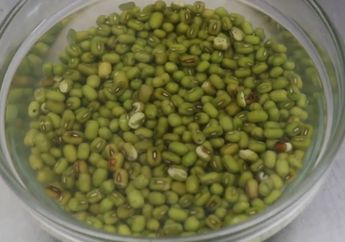 Nyesel Baru Tahu Hari Ini, Ternyata Ada Cara Ampuh Masak Kacang Hijau yang Bisa Lebih Hemat Gas
