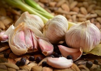 Tikus Curut Benci Bau 3 Bumbu Dapur Ini, Gunakan untuk Cegah Tikus Masuk Rumah