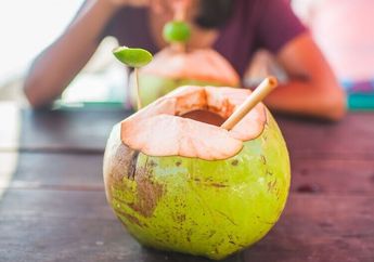 Dikira Sehat, Air Kelapa Ternyata Tidak Boleh Diminum Orang dengan Kondisi Seperti Ini, Bisa Bikin Masuk Rumah Sakit